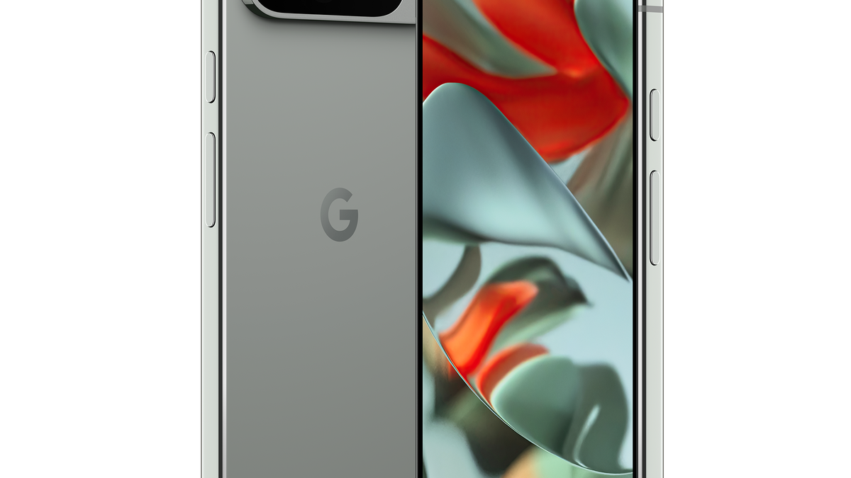 Google Pixel 9 Pro XL | Android Police