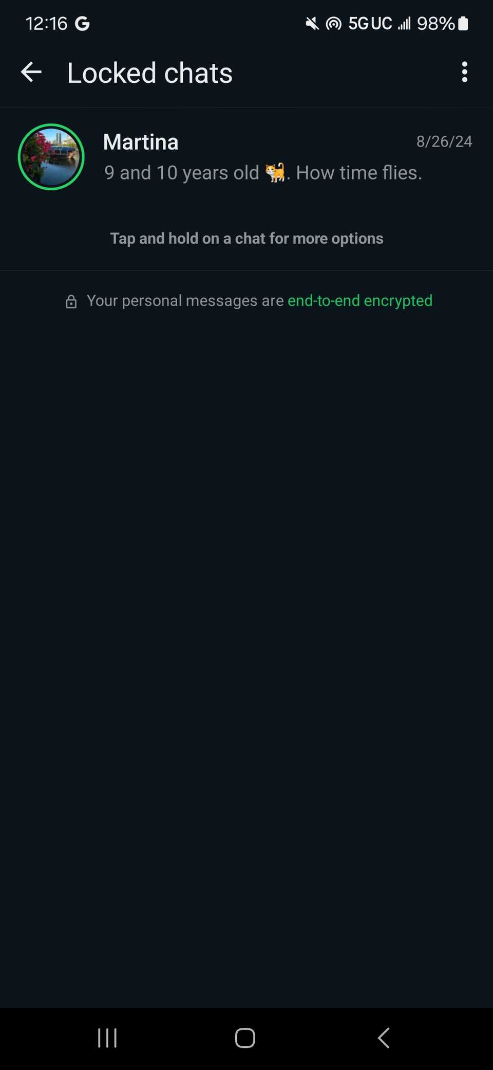 Secret Chat Code WhatApp:How to use the Secret Code feature
