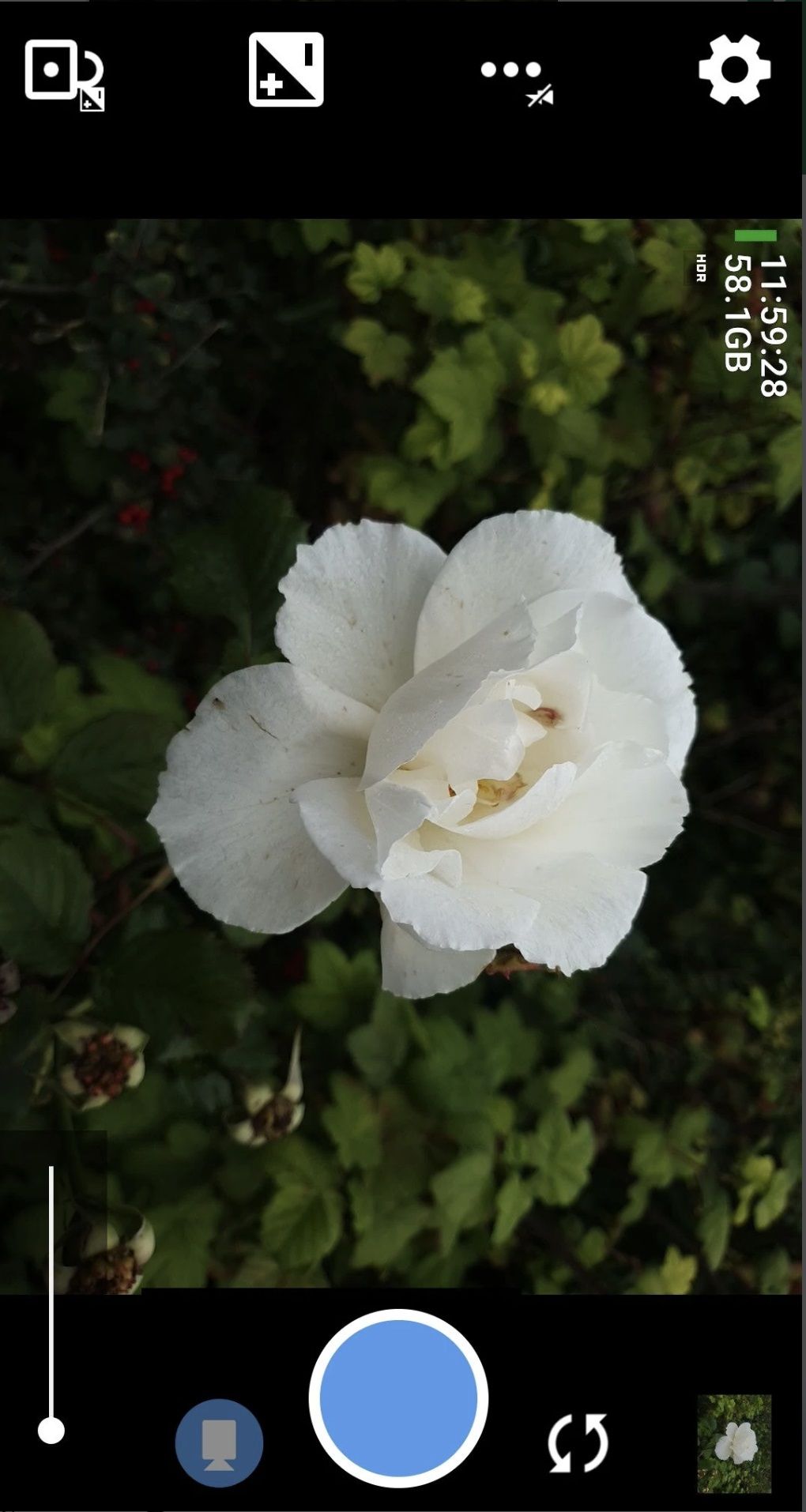 Don't have the Pixel Camera app? Here are 5 alternatives I recommend