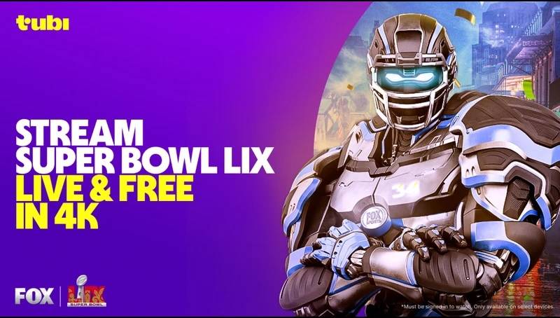 Tubi on the Roku Streaming Store.