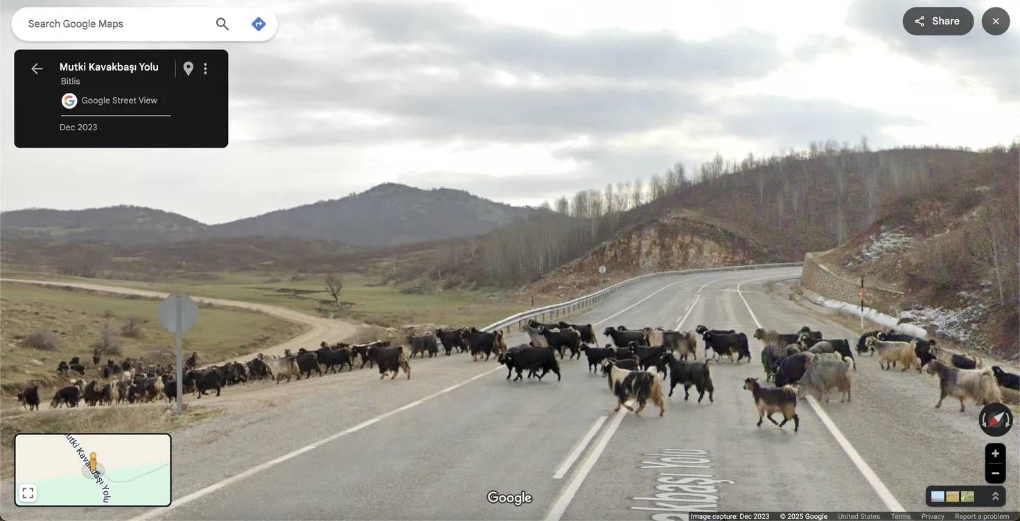 Prepare your bucket list, Google Maps just revealed its top-rated ...