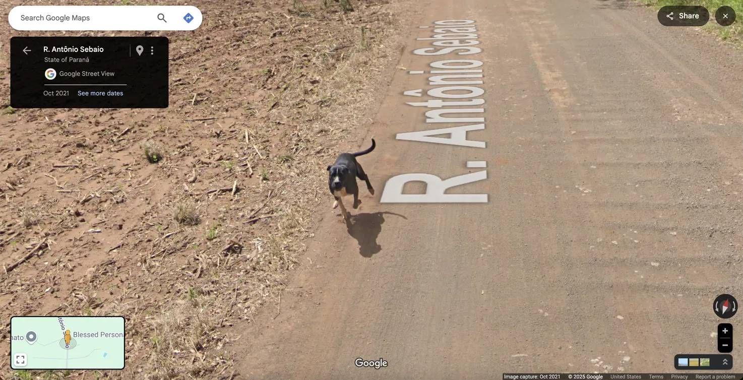 Prepare your bucket list, Google Maps just revealed its top-rated ...