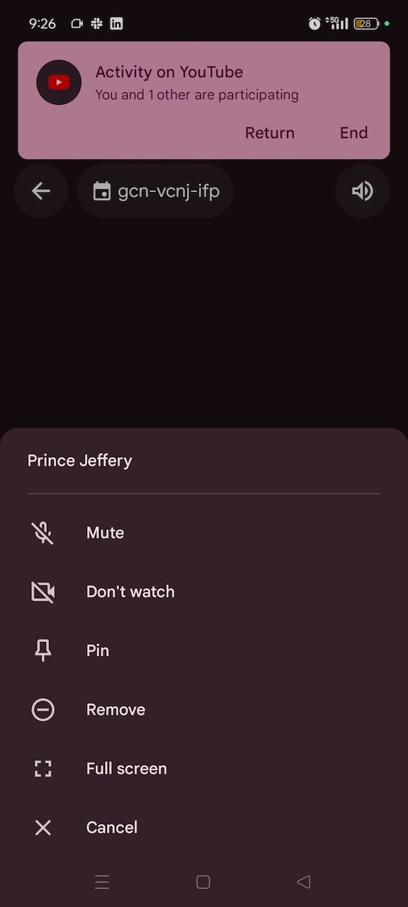 I never thought I'd pay for YouTube Premium, but the co-watching ...