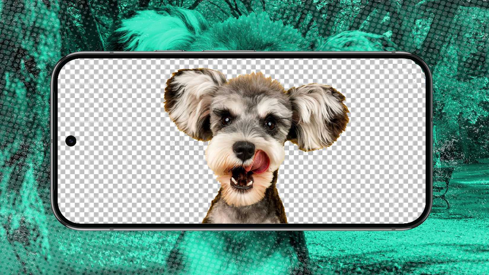 Foto de um cachorro com o fundo removido em um smartphone com orientação paisagem
