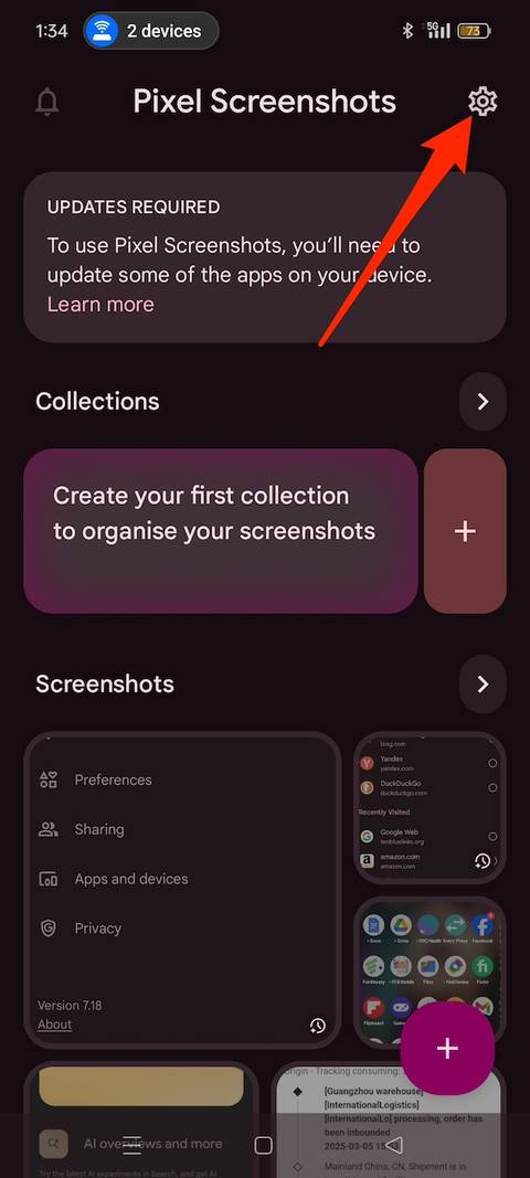Selecting settings cog icon on Pixel Screenshots app