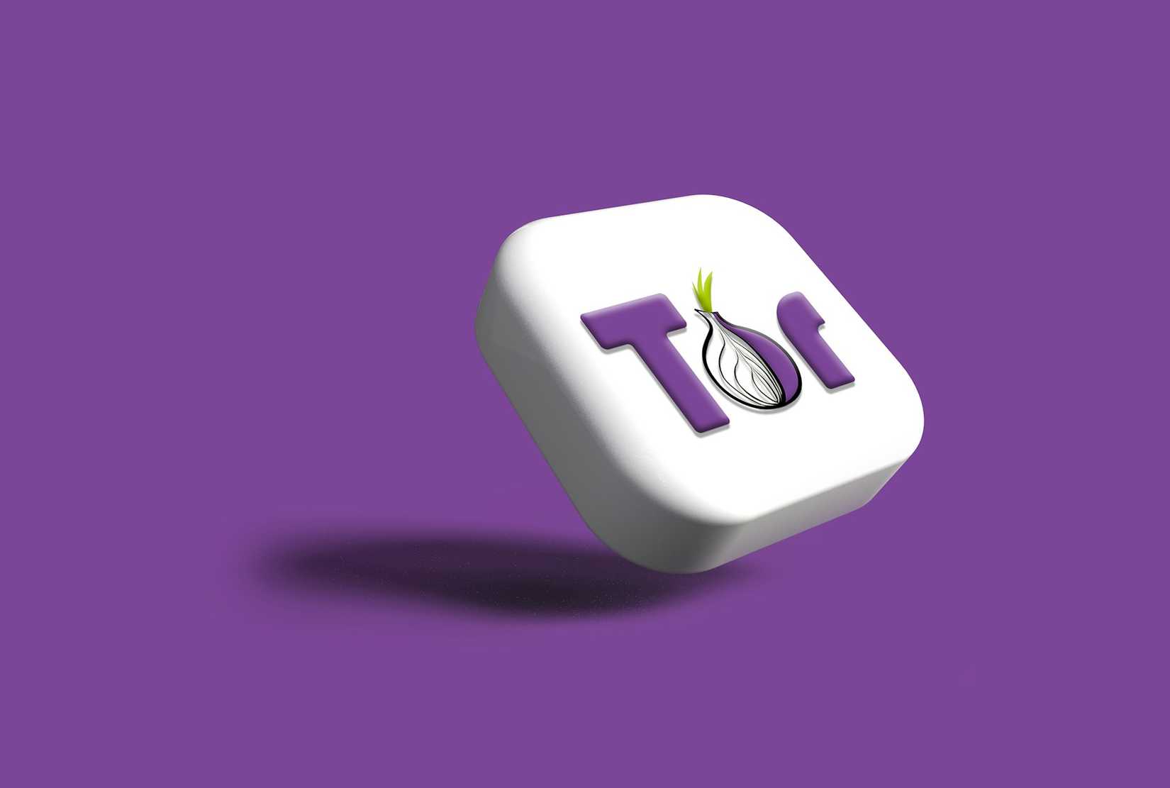 Tor browser's logo.