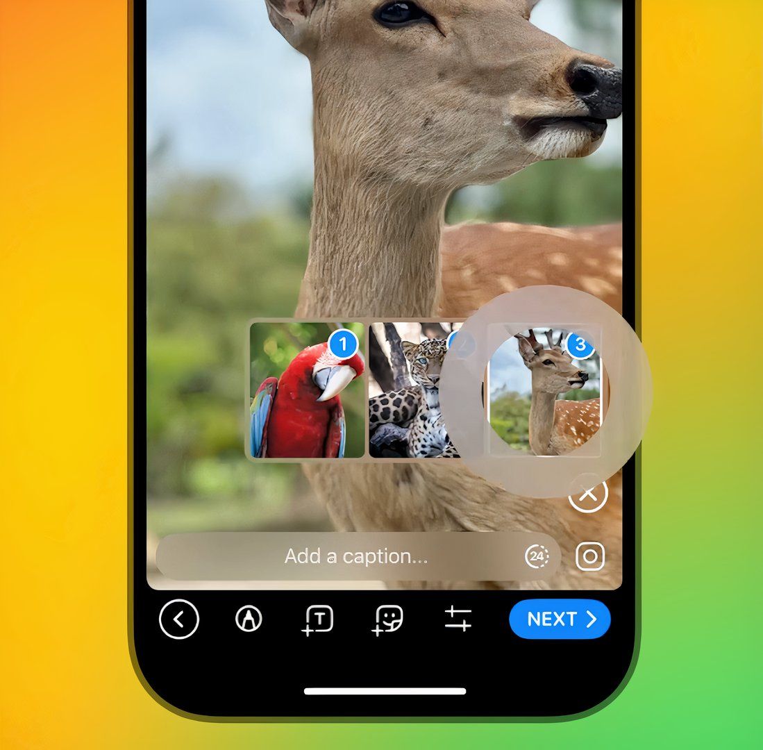 Telegram’s upgraded stories are perfect for meme dumps