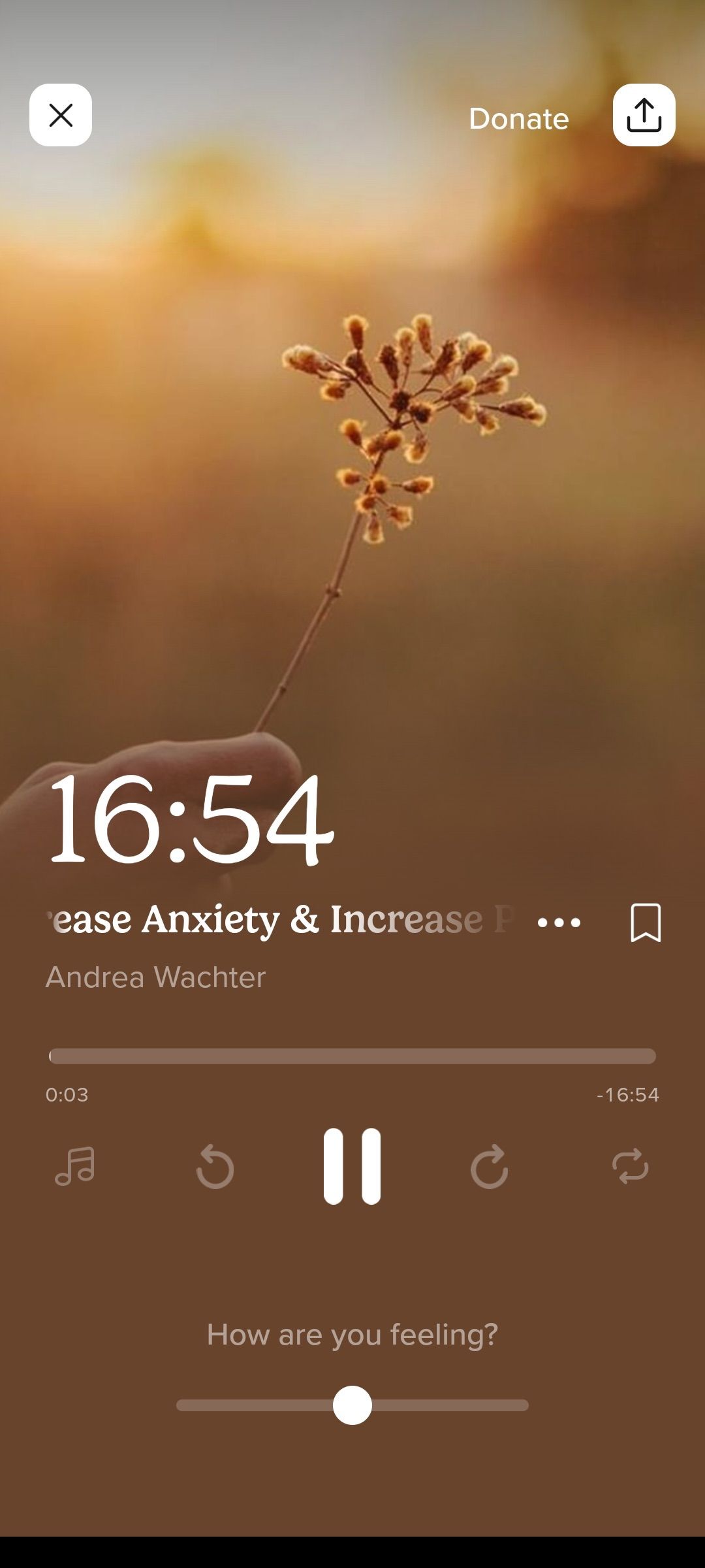 I took a chance on this free meditation app and I'm finally getting 8 ...