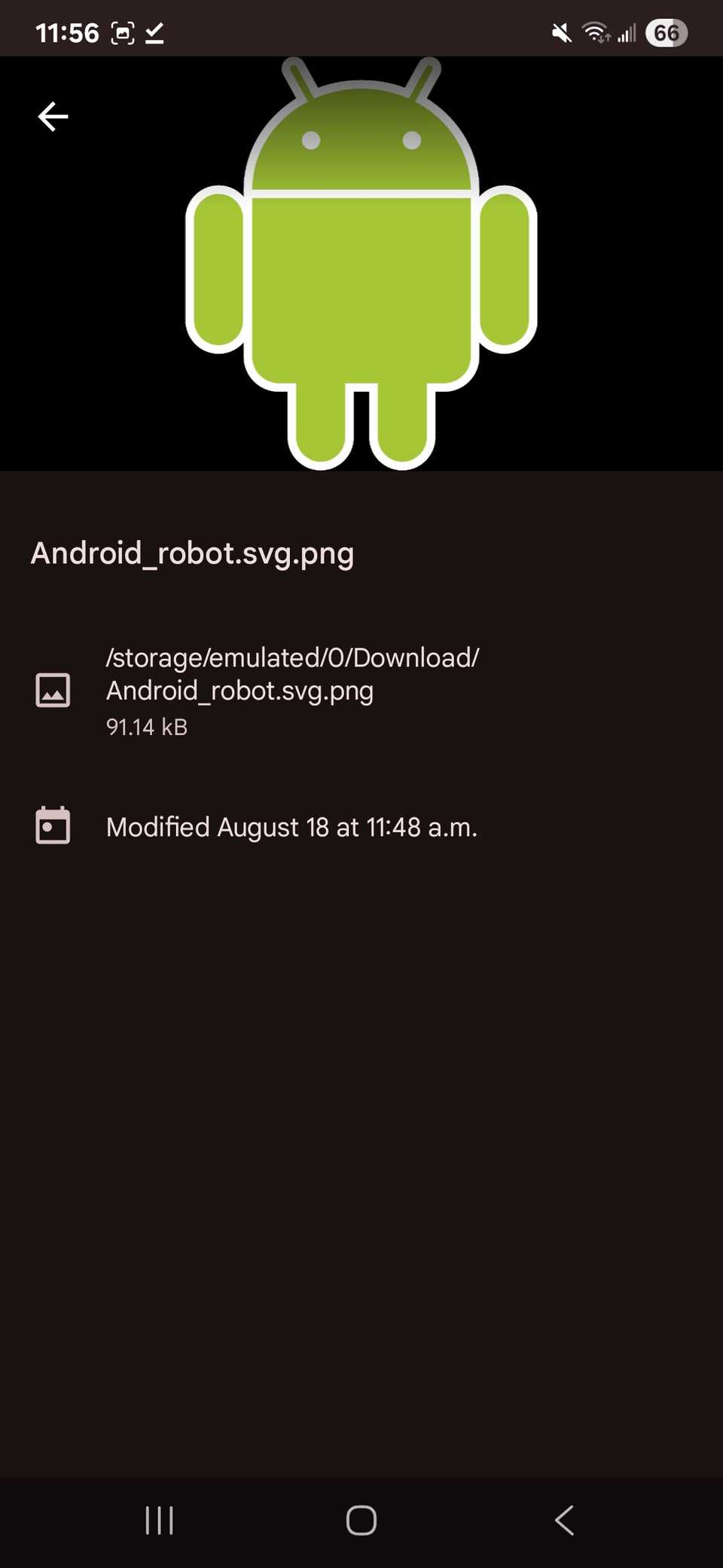 Posizione di download di un'immagine mostrata nell'app Google Files