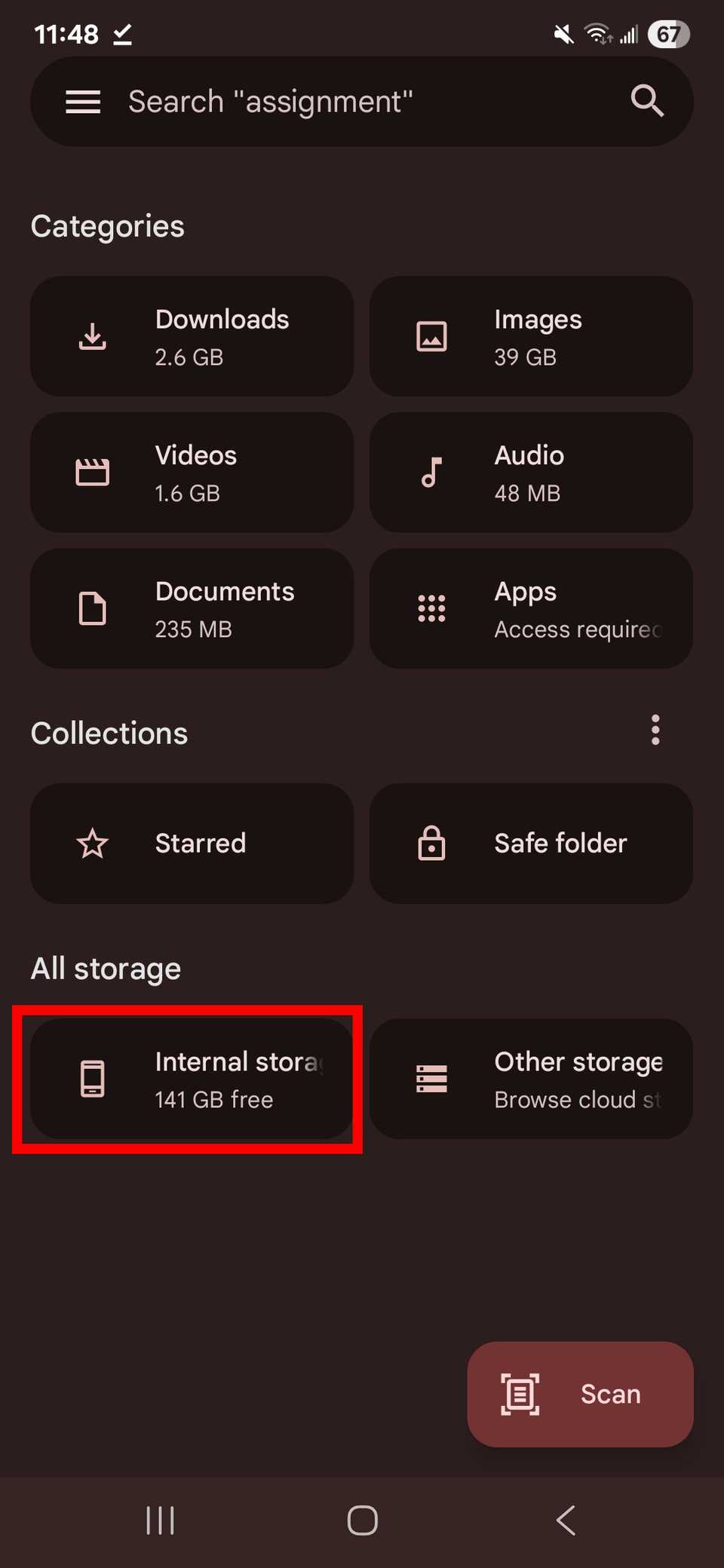 Contorno rettangolare rosso che evidenzia l'opzione di archiviazione interna nella parte inferiore dell'app Google Files