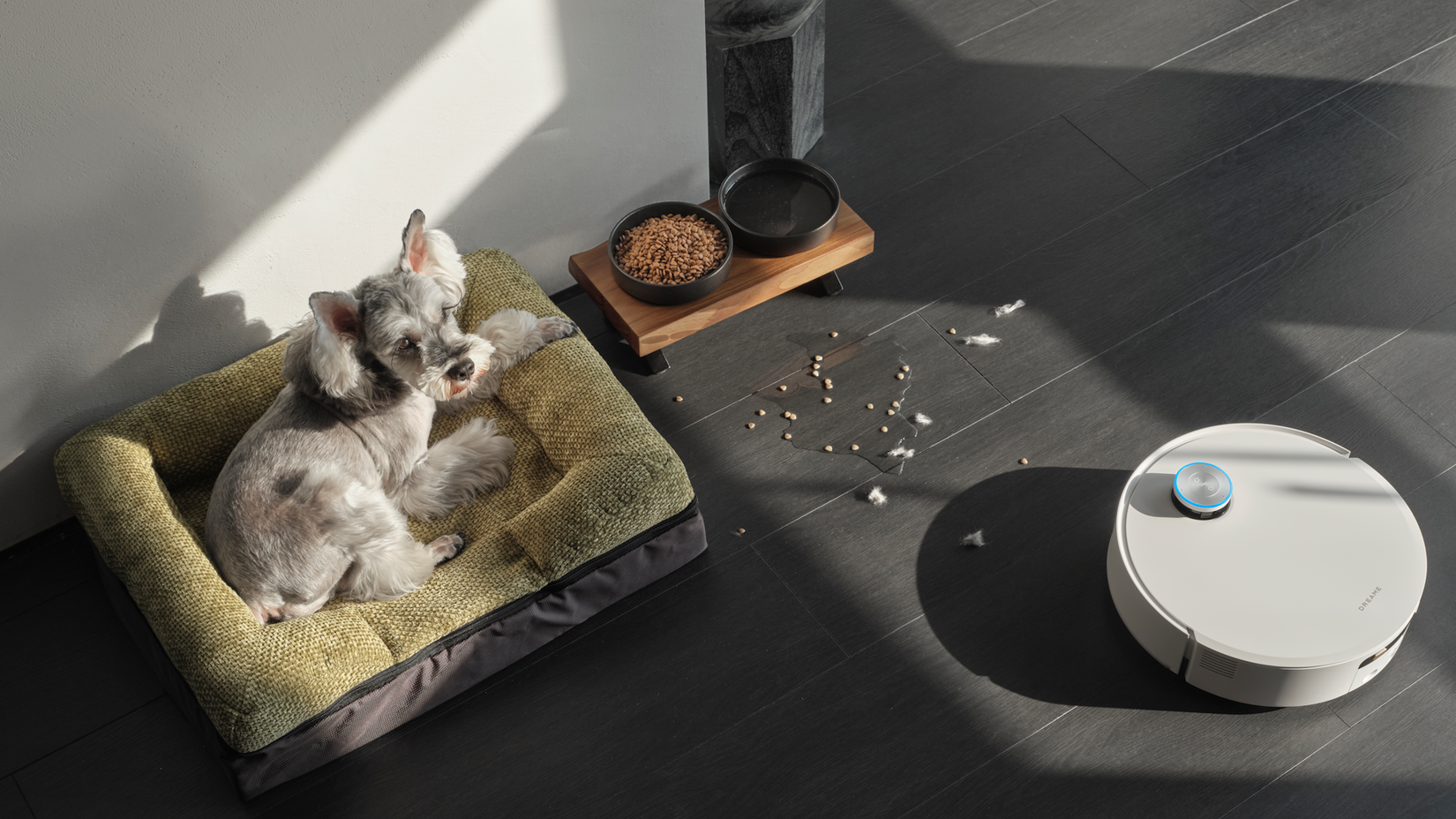 Dreame Aqua 10 pet image