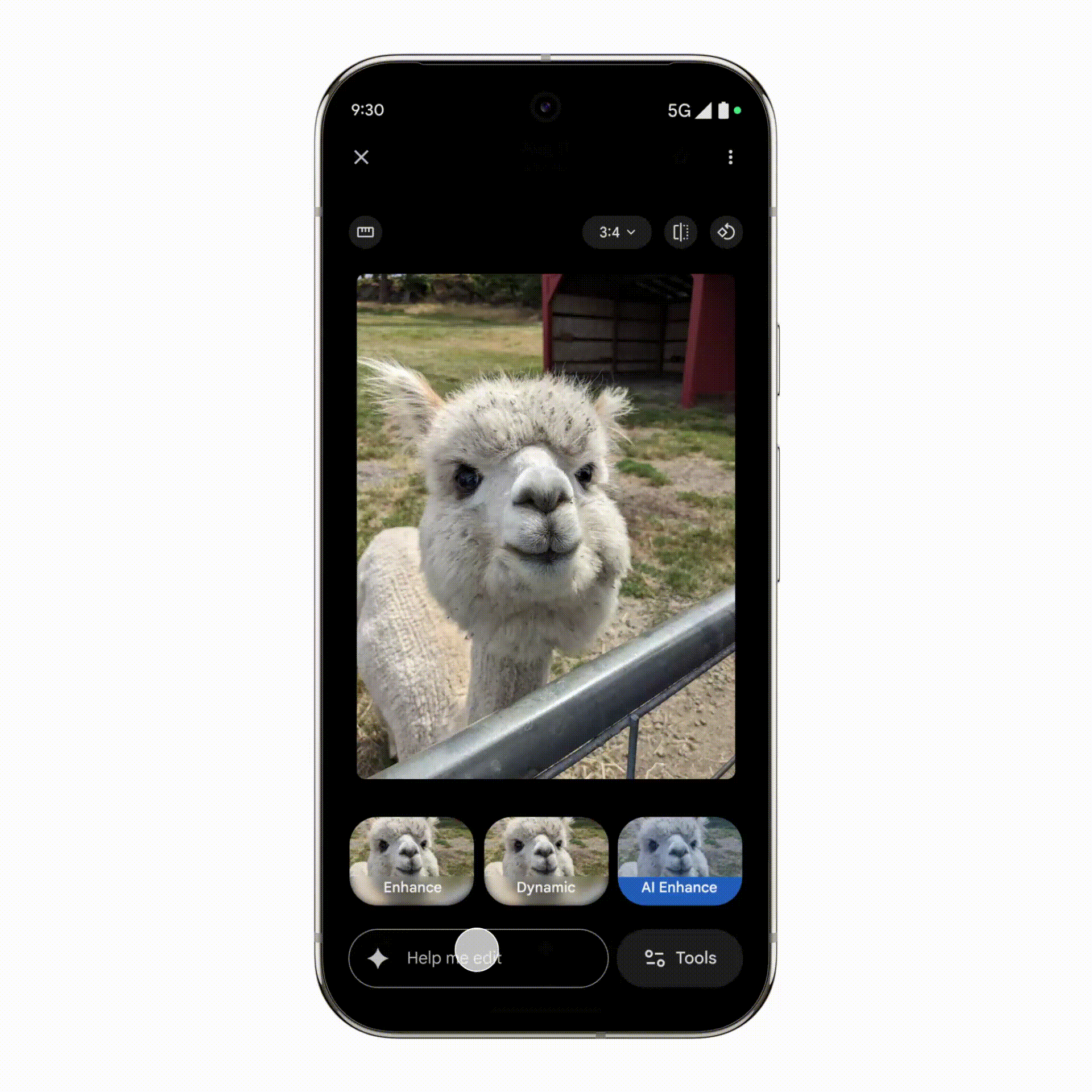 An animation of asking Google Photos to create a fun alpaca photo with Gemini.