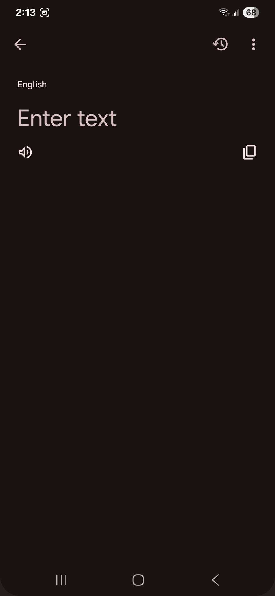 Enter text screen showing the audio and copy text option in the Google Translate app