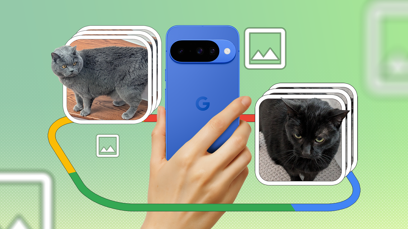 Google Pixel 10 camera review: Capturing feline moments