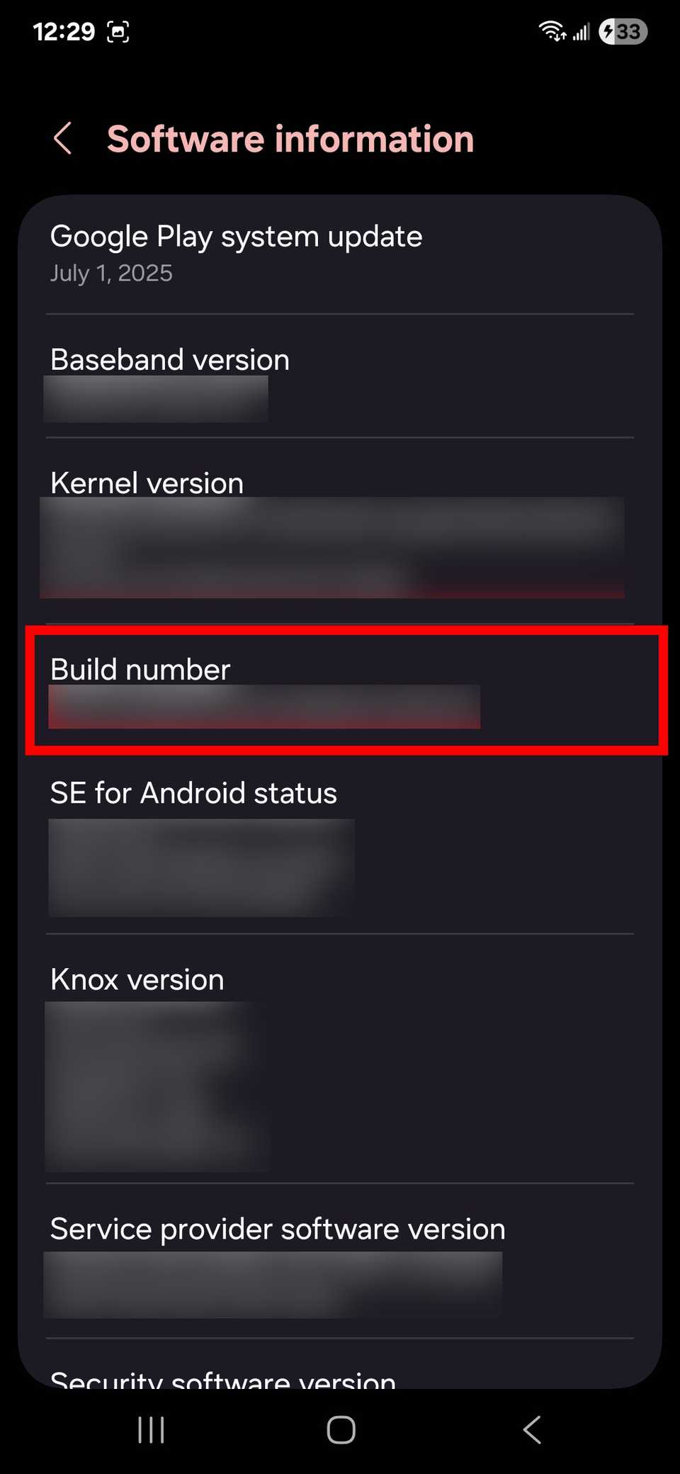 Red rectangle outline Build number in software information