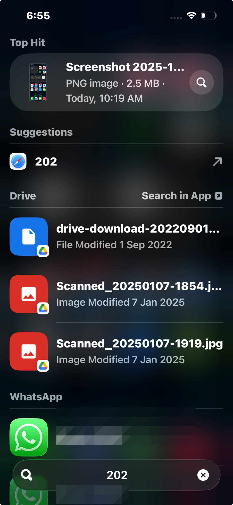 Mostrando recursos de pesquisa na captura de tela do iOS