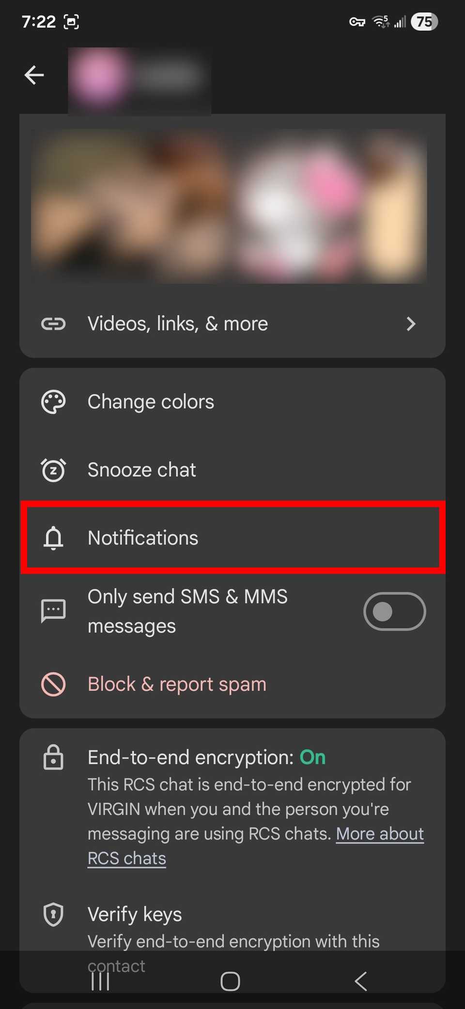 Red rectangle outline highlighting Notifications in the details menu for a contact in Google Messages