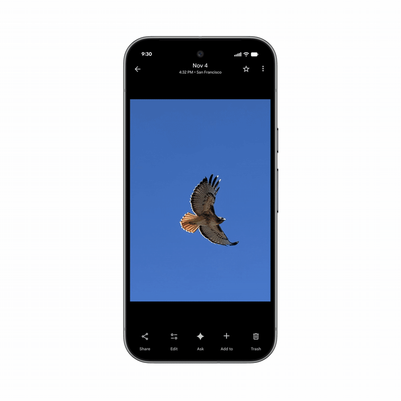 Um gif destacando o novo posicionamento do botão Perguntar do Google Fotos.