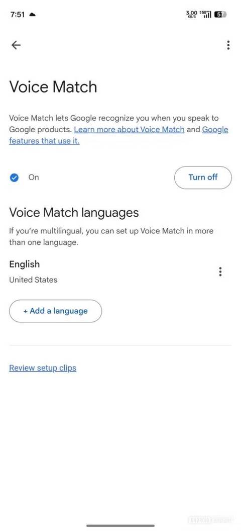 Google Assistant Gemini Voice Match-Main-AA