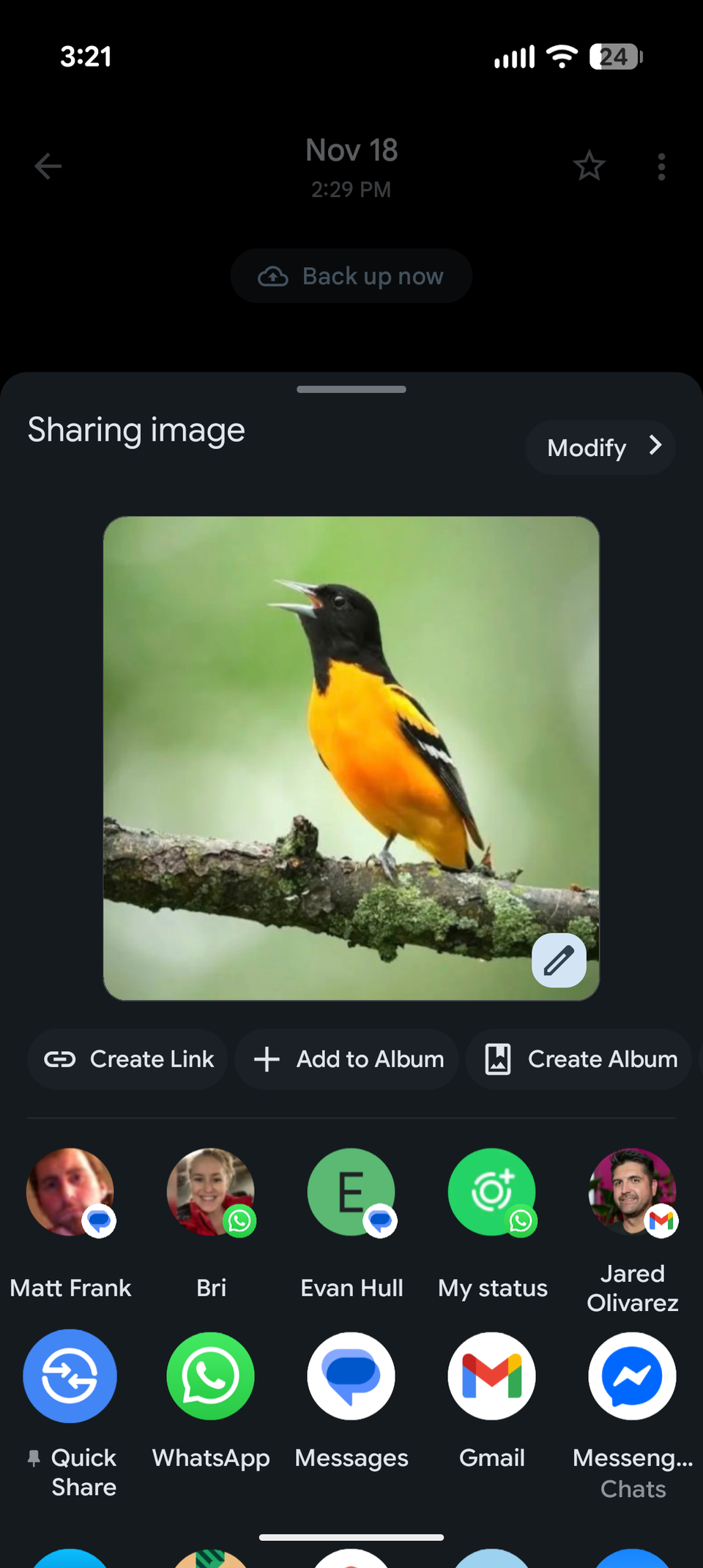 The share options in the Google Photos interface