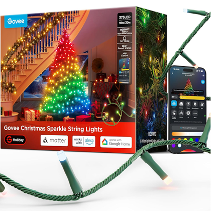Govee Christmas Sparkle buy box