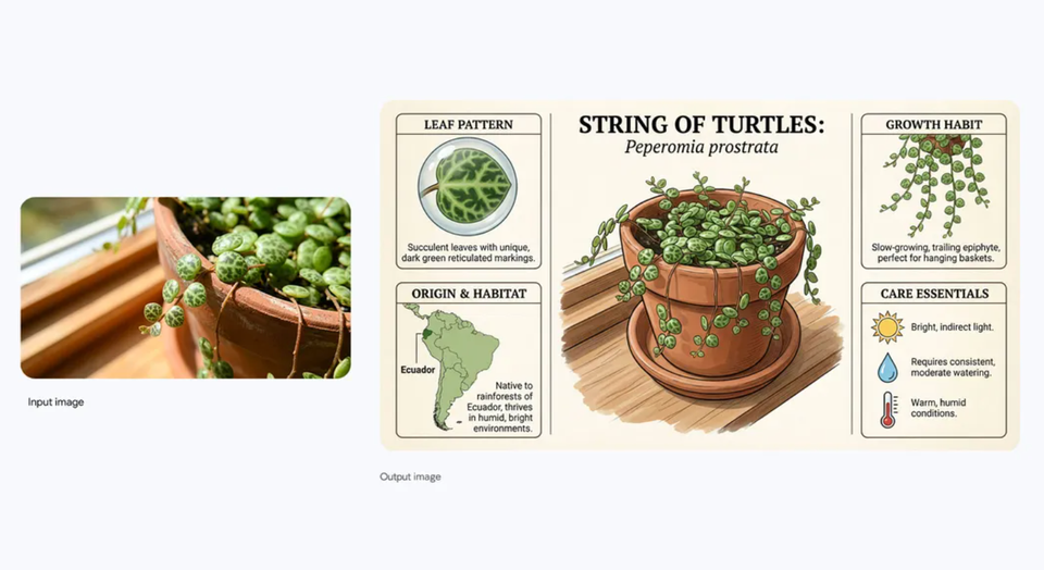 A Nano Banana Pro output example.