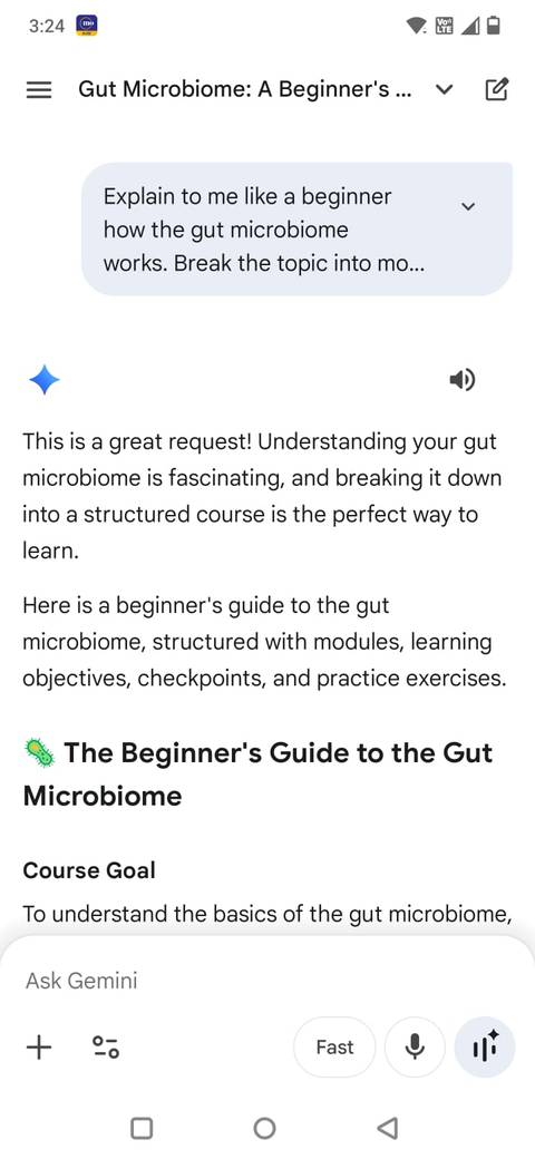 Screenshot showing a prompt in the Gemini app asking for mini course