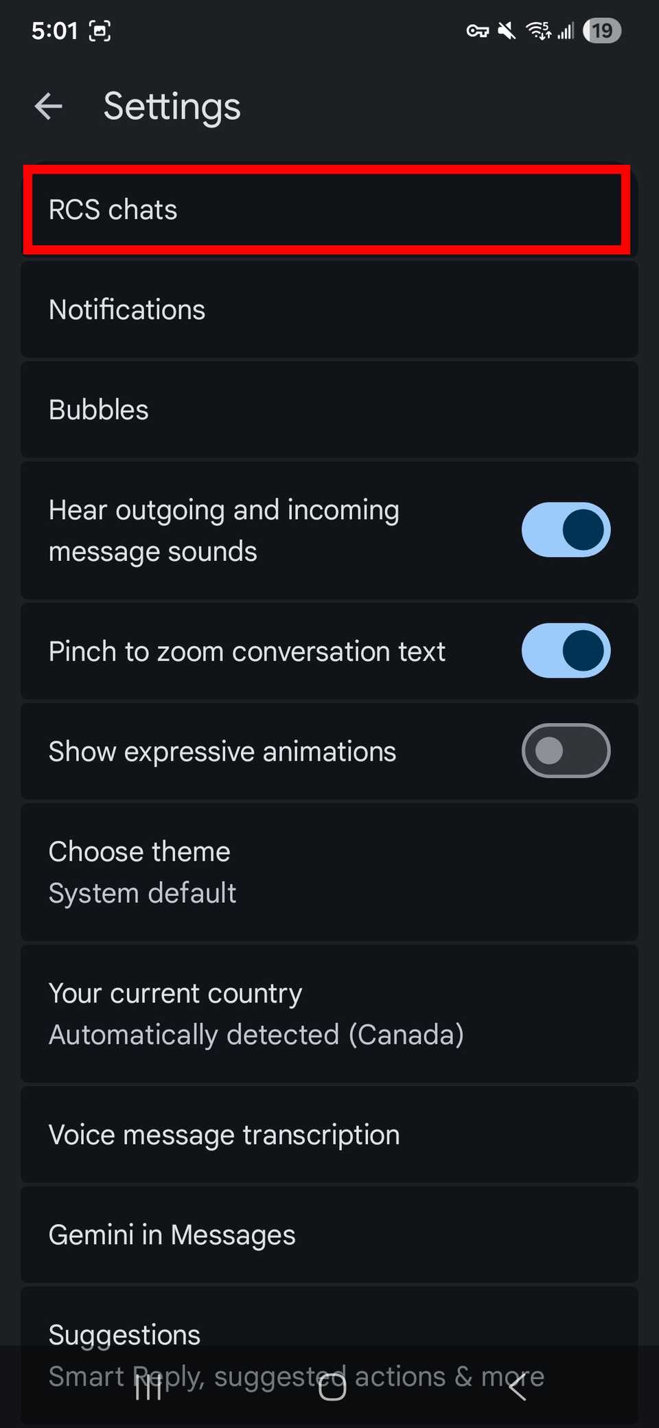 Il rettangolo rosso delinea le chat RCS nelle impostazioni di Messaggi