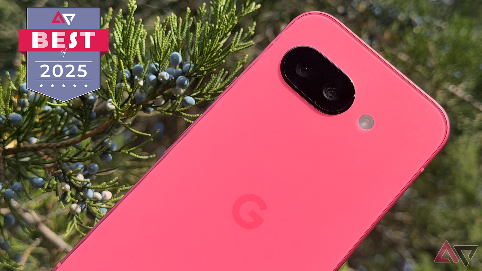 Google Pixel 9a against juniper berries.