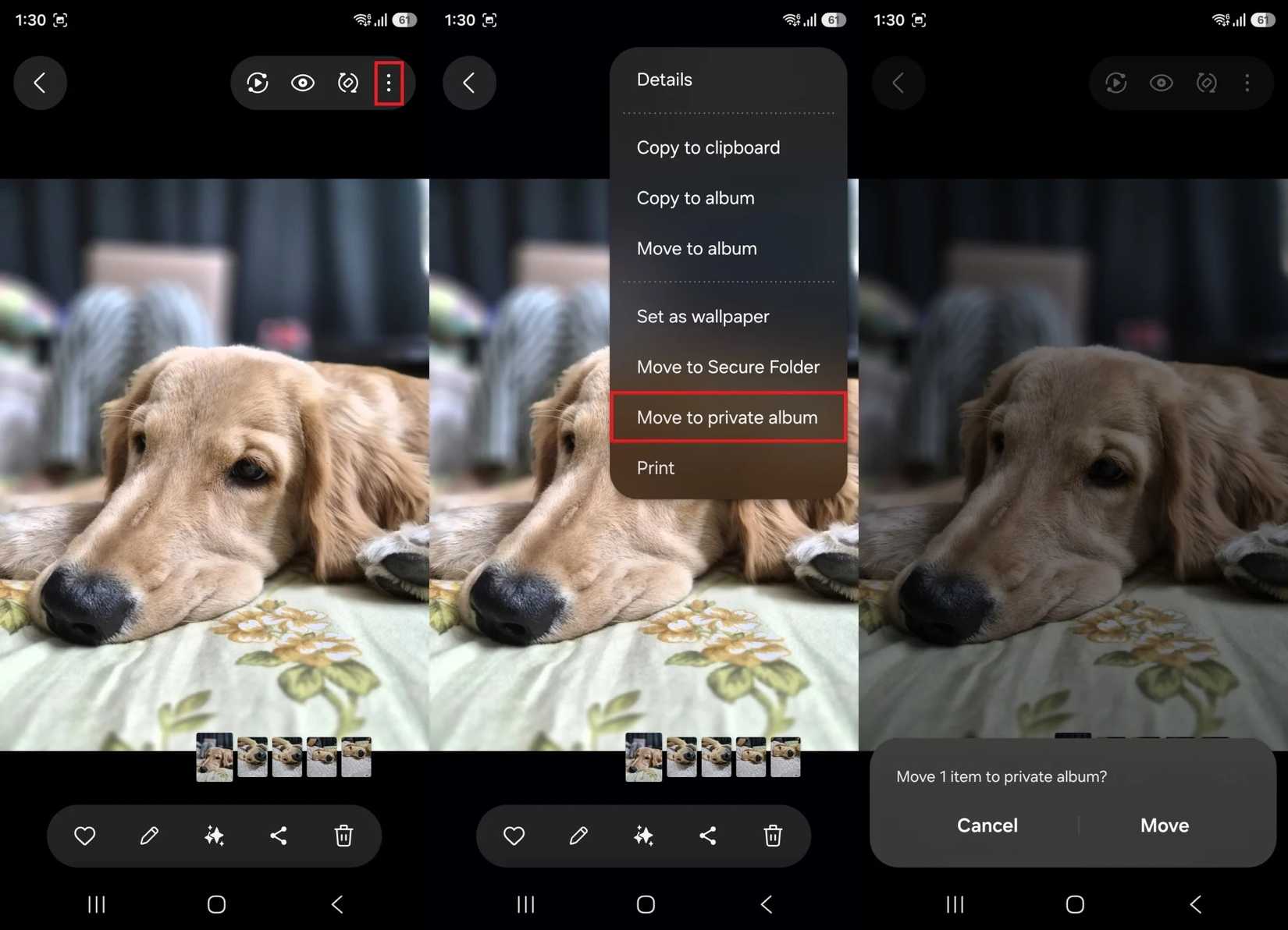 Screenshot showing Private album feature in the Samsung Gallery app