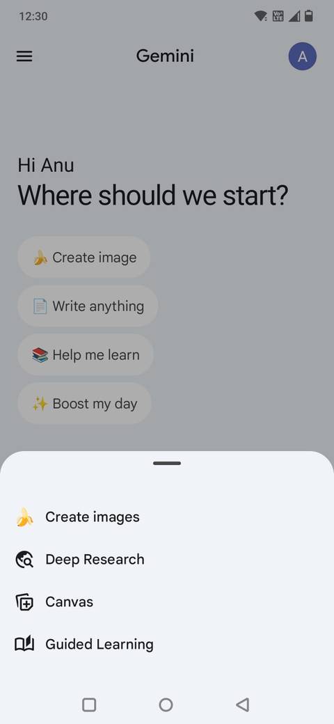 Screenshot che mostra l'opzione Apprendimento guidato nell'app Gemini