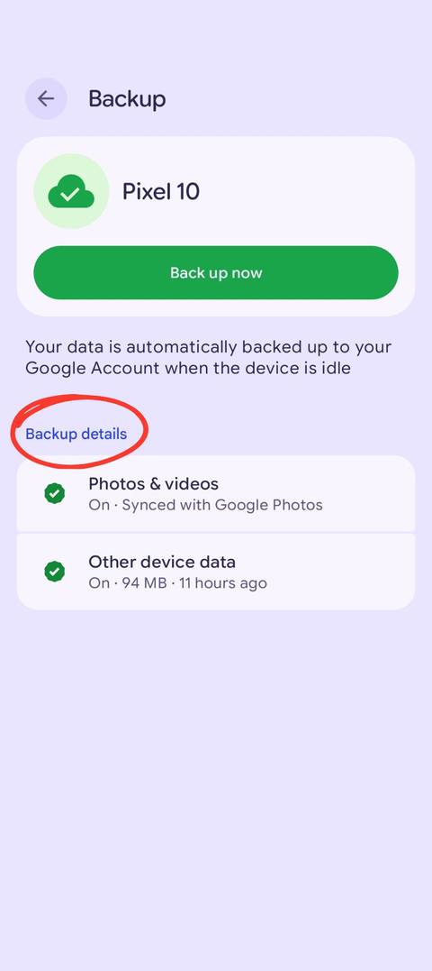 A screenshot showing the backup menu, with the backup details circled in red