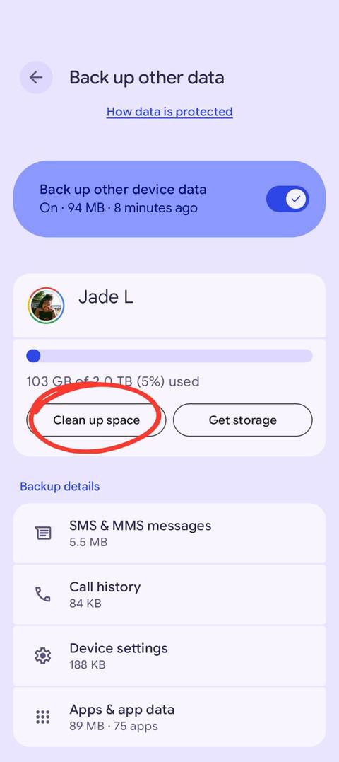 A screenshot showing options to backup other data, with the 'clean up space' button circled in red