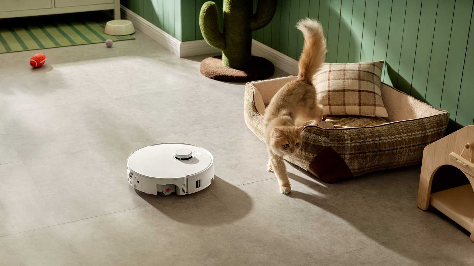 Roborock Qrevo Curv 2 pulisce il pavimento accanto a un gatto.