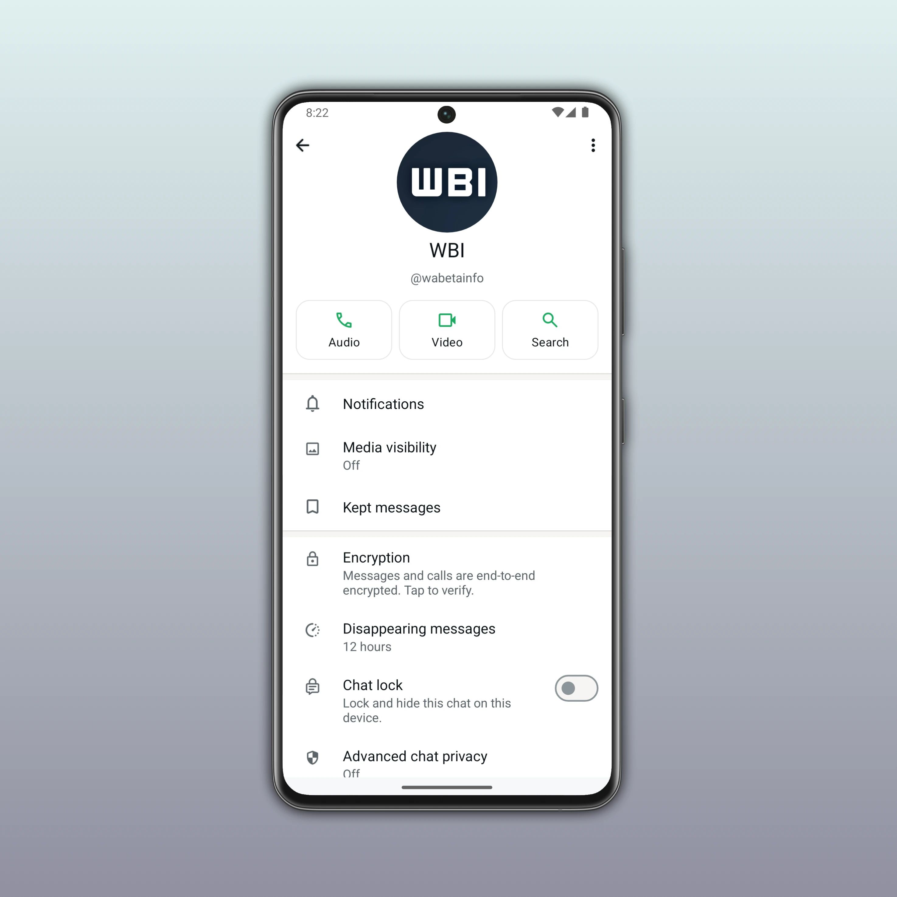 WhatsApp Username Feature