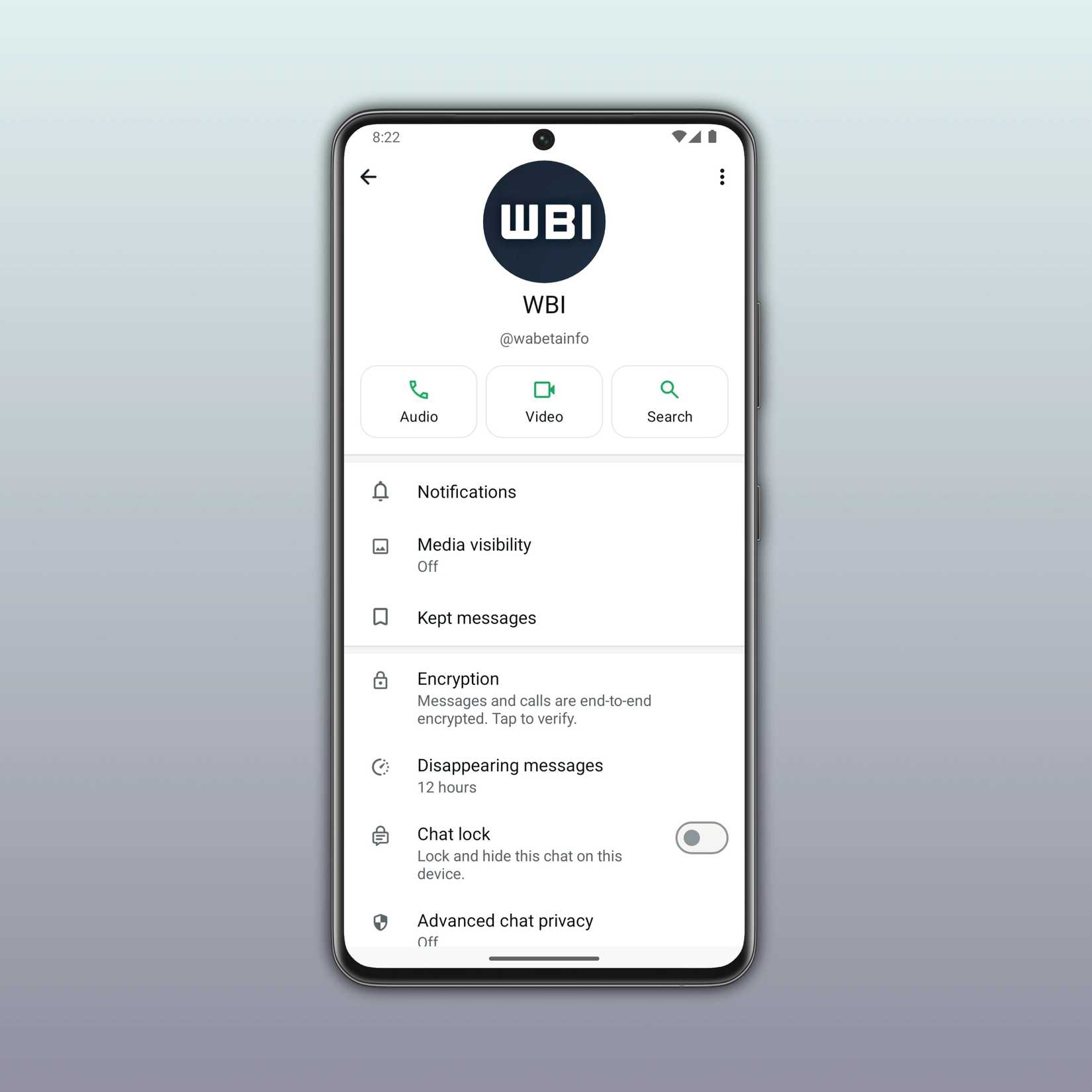 Uma captura de tela destacando a aparência dos nomes de usuário na tela de informações de contato.