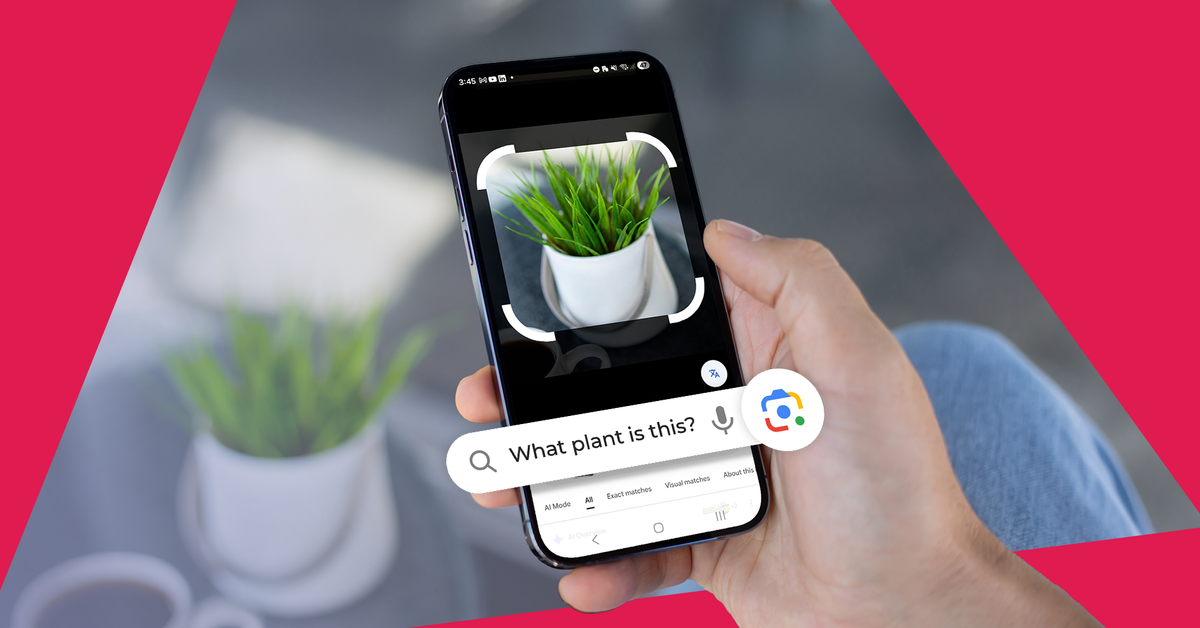 I'm officially a 'nature expert' (on my street), thanks to Google Lens