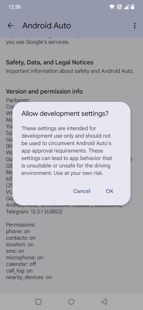 Screenshot che mostra la finestra di dialogo delle impostazioni sviluppatore in Android Auto