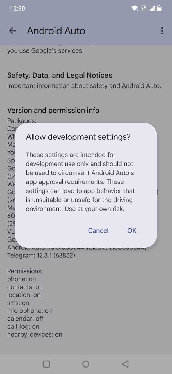 Screenshot showing the developer setings dialog box in Android Auto