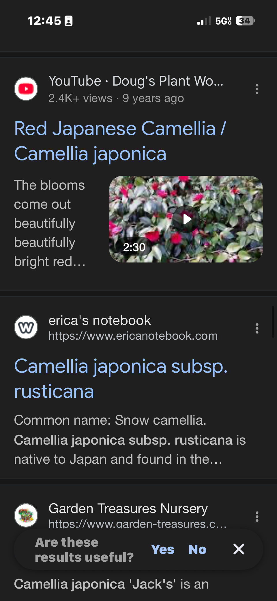 I'm officially a 'nature expert' (on my street), thanks to Google Lens
