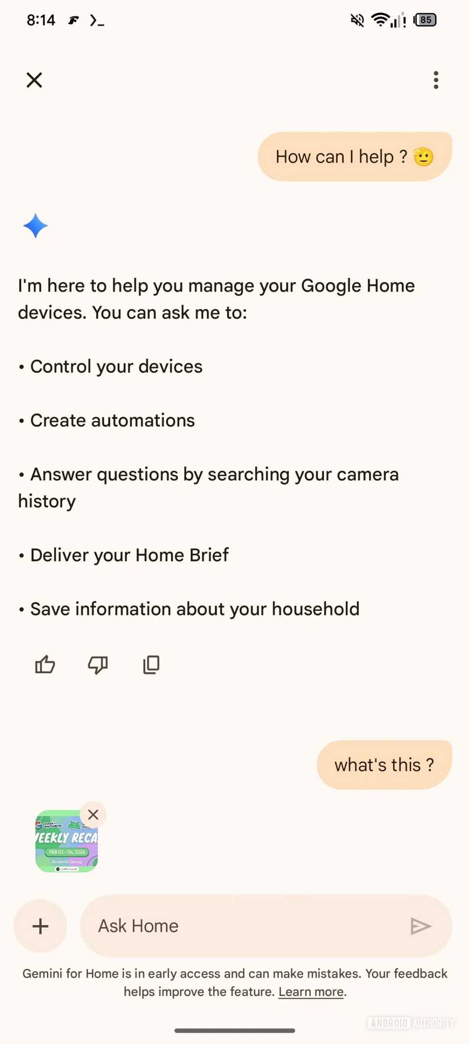 Screenshot che mostra l'allegato Chiedi Home di Google Home