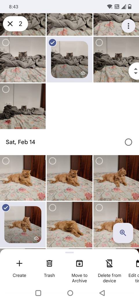 Screenshot che mostra le opzioni Cestino ed Elimina dal dispositivo in Google Foto