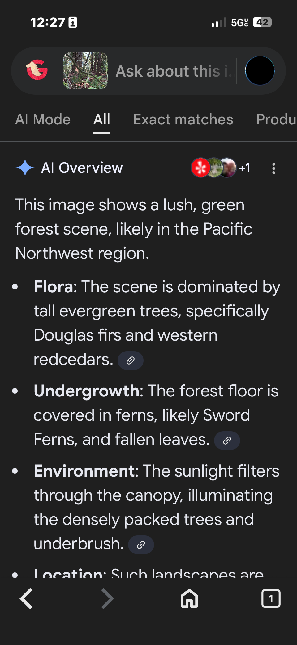 Uno screenshot di Google Lens che descrive la scena della foresta rigogliosa