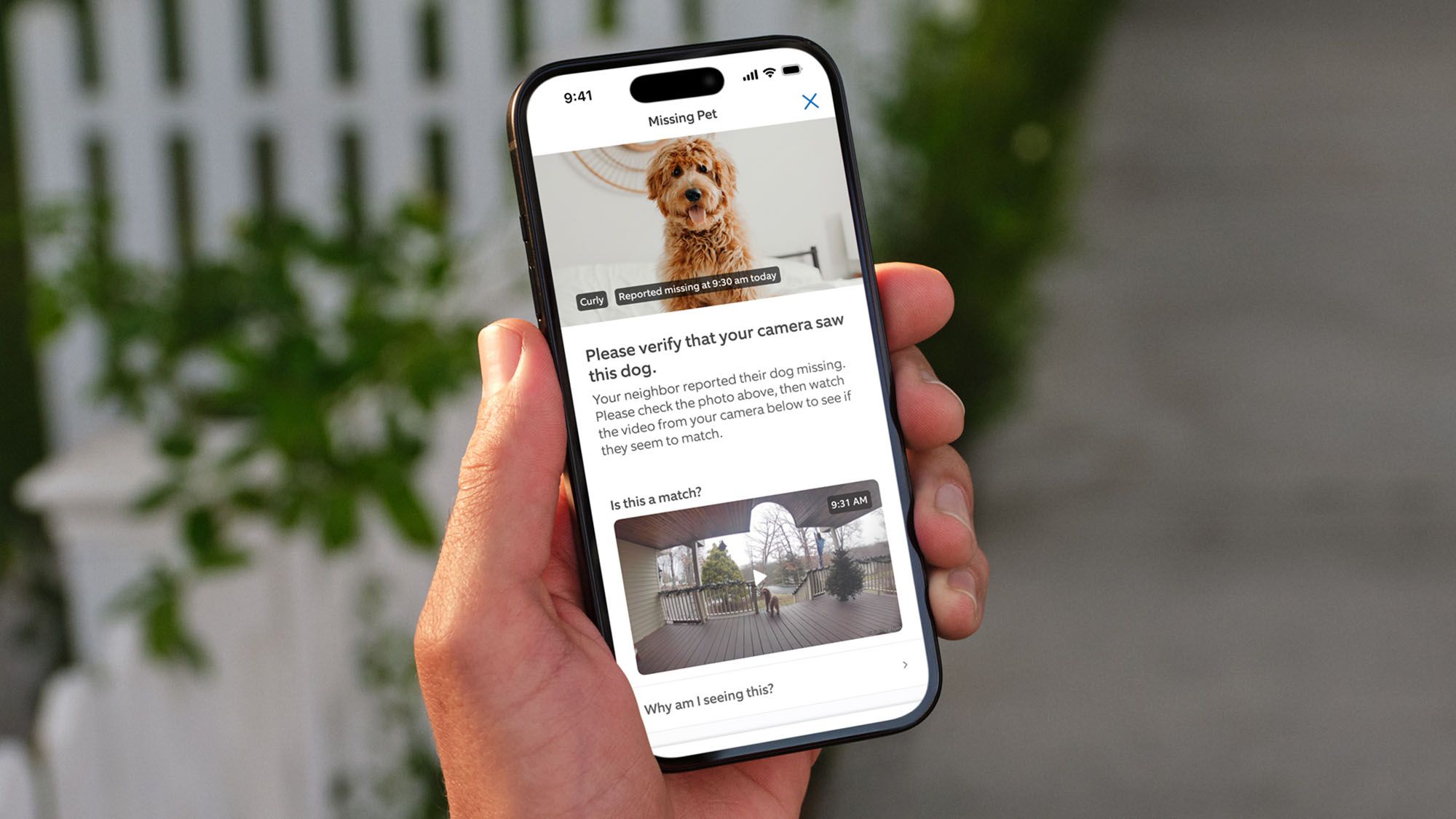 Amazon opens Ring's missing dog-finding network to all in the US
