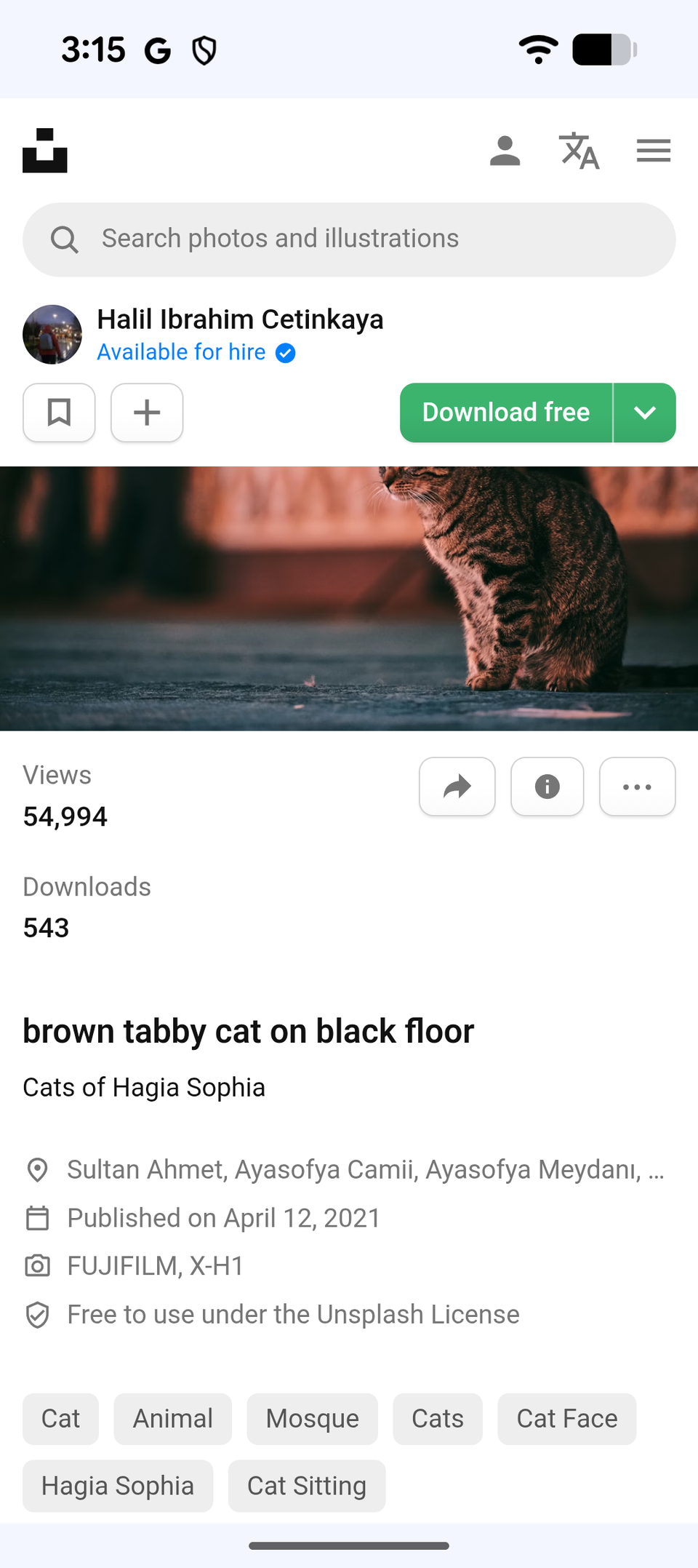 Uno screenshot di Unsplash che mostra le specifiche di una foto di un gatto