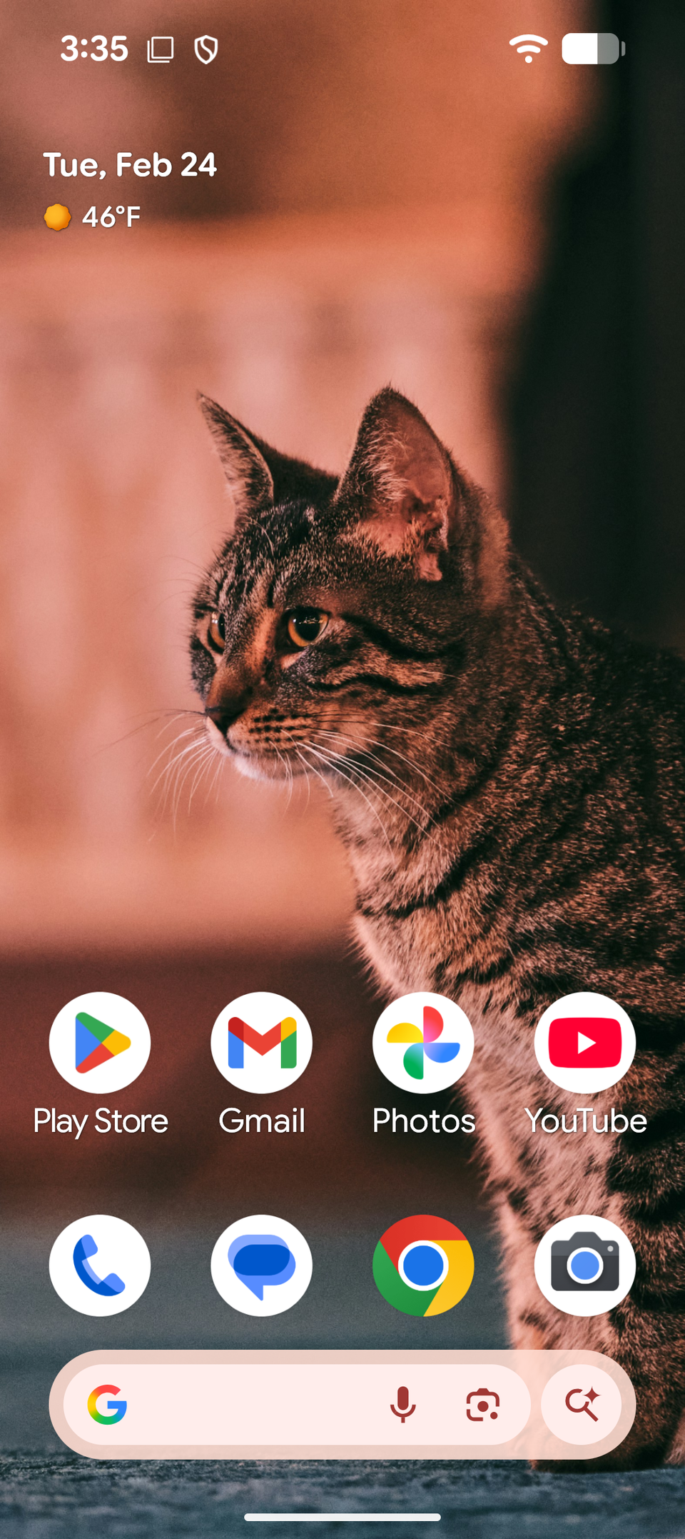 Uno screenshot dell'immagine di un gatto utilizzata come sfondo