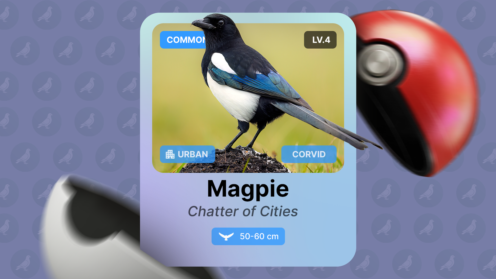 This Pokémon-style birding app is the only reason I'm going outside this weekend
