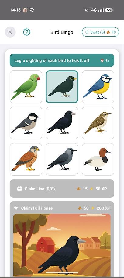 opere d'arte di uccelli nell'app birdex