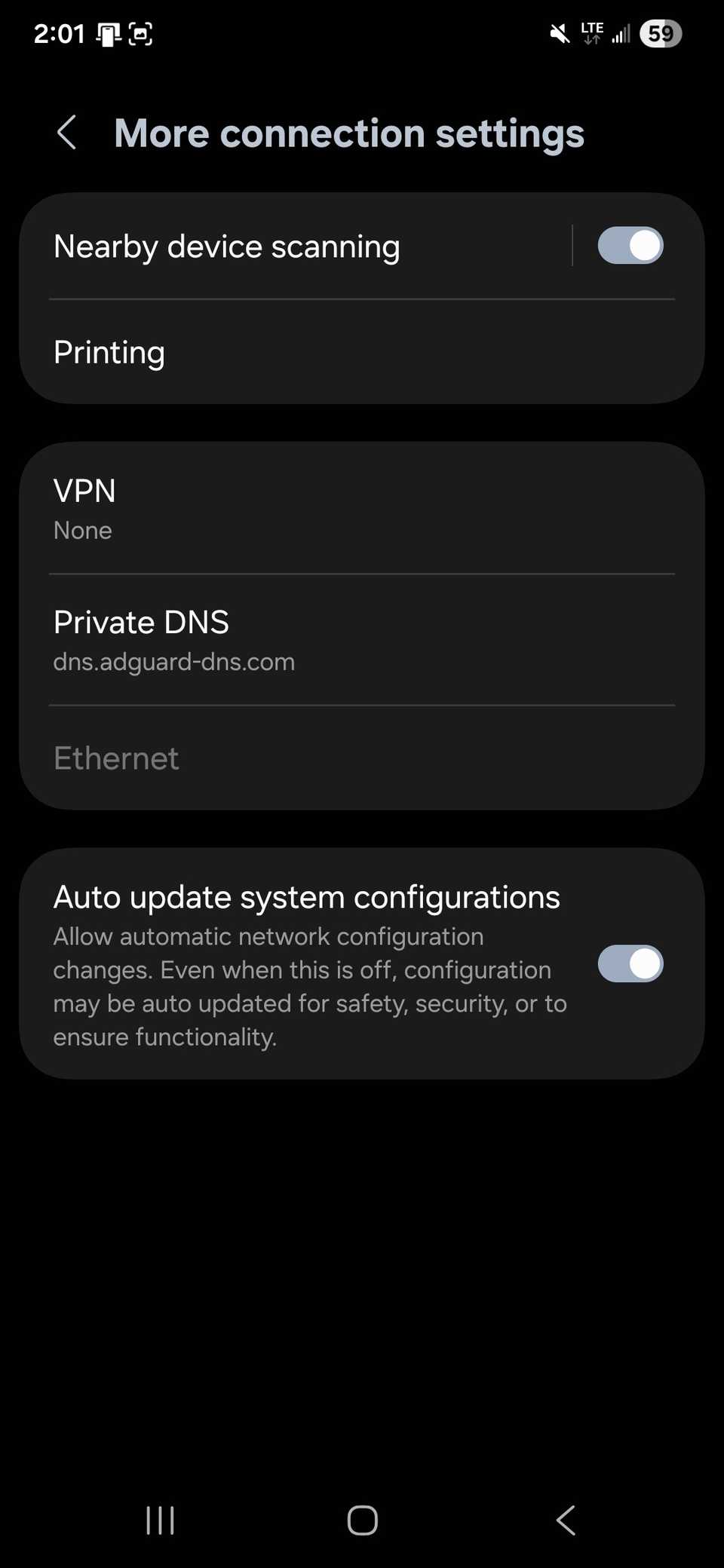Connected Private DNS set to a custom DNS in Samsung connection settings