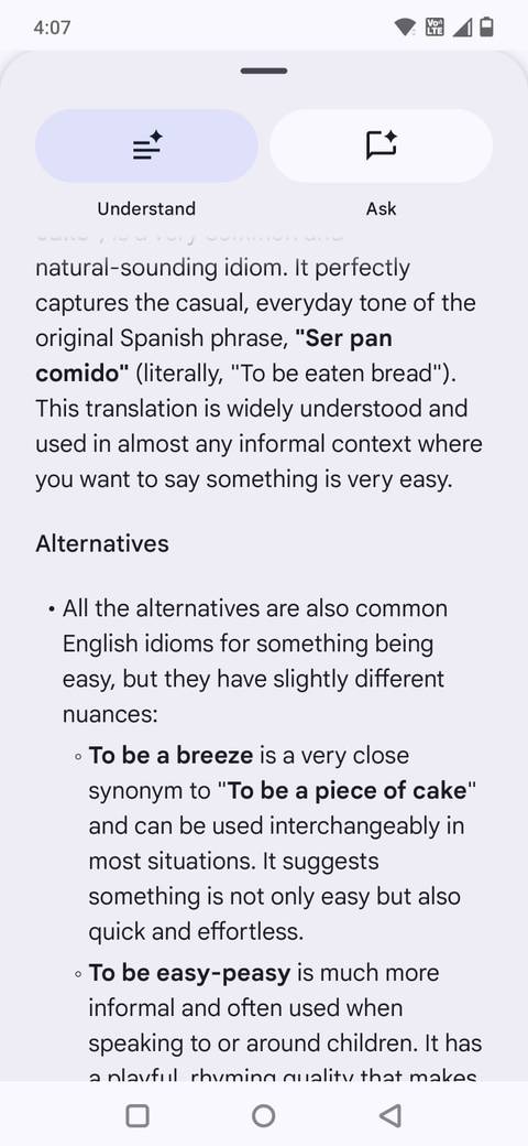 Screenshot showing an explanation in Google Translate